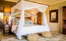 African Safari Lodge