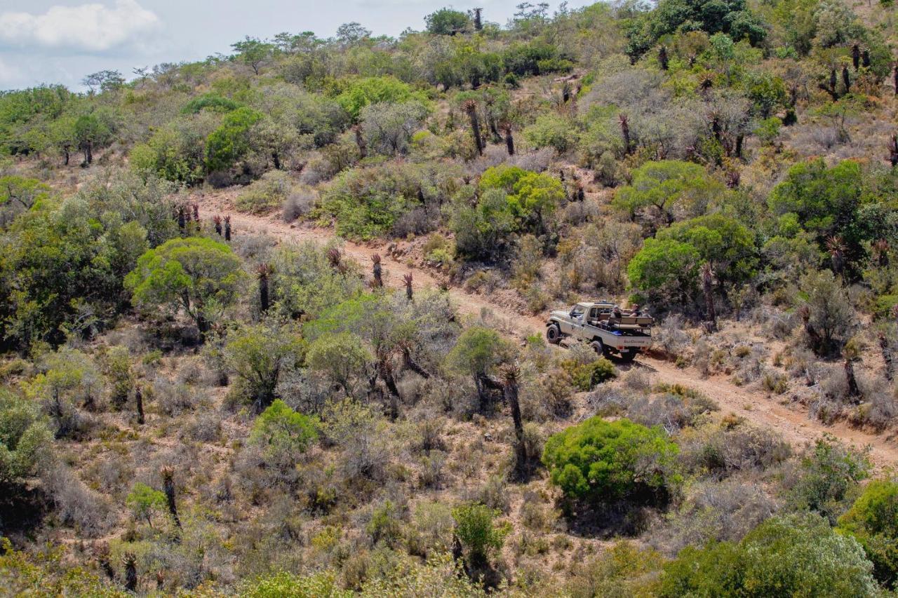 African Safari Lodge Grahamstown Buitenkant foto